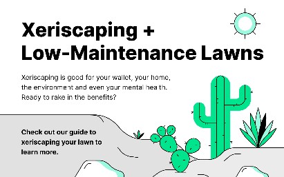 Click to view or download xeriscaping infographic