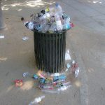FEB 26: Westside & Hampton Park Terrace Community Litter Sweep
