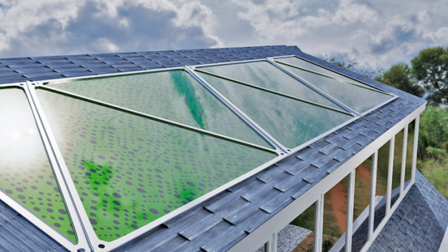 INNOVATION: "Algae-filled panels could generate oxygen and electricity