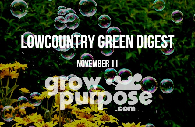Lowcountry-Green-Digest-11-11