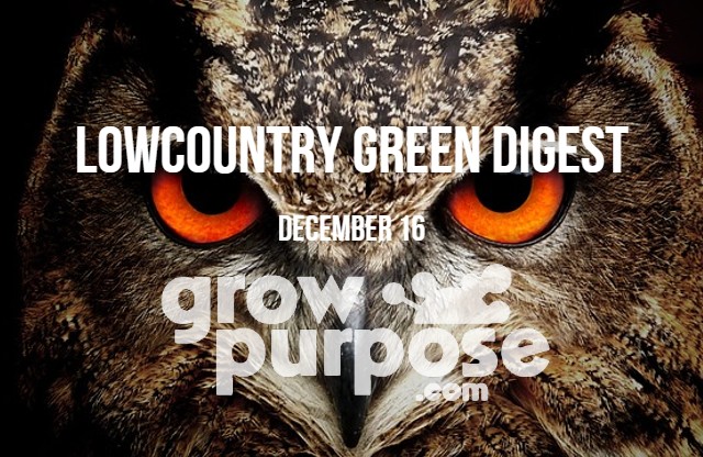 Lowcountry-Green-Digest-12-16