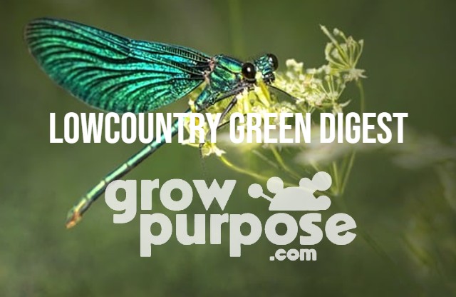 LOWCOUNTRY-GREEN-DIGEST-3-17-23