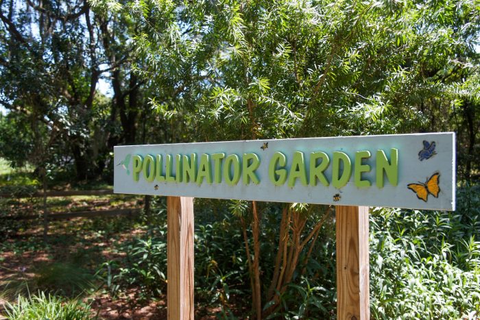 Pollinator Garden - sign - Pollinator Week