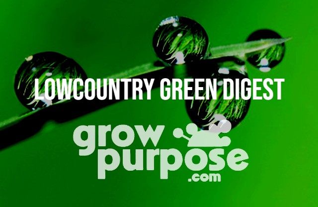 LOWCOUNTRY-GREEN-DIGEST-9-15-23