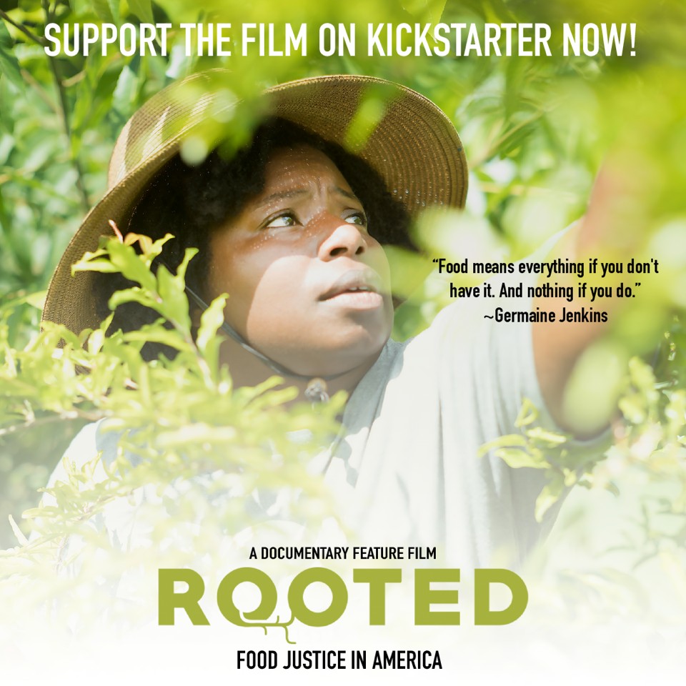 RootedFilm-insta-promo2
