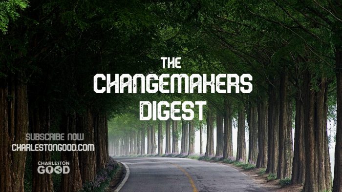 ChangeMakers-tree-road