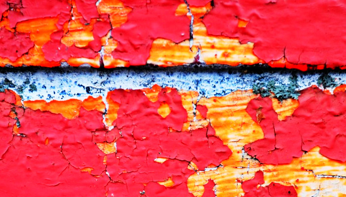 The MAGA Wall Is Cracking