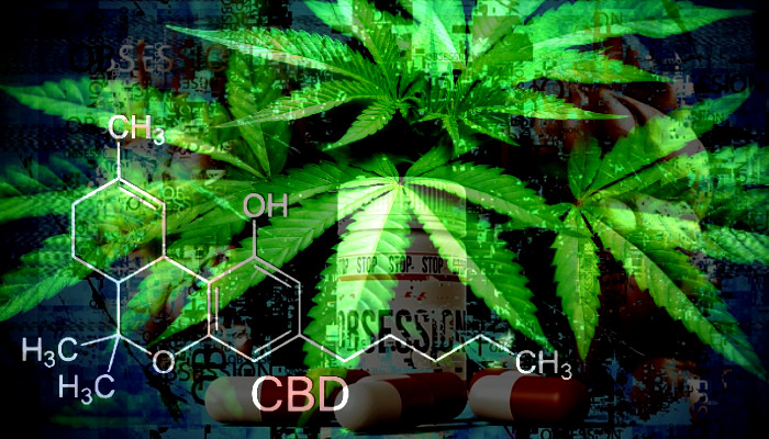 Legalize Drugs!