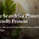 Planet-Friendly Proteins are Easy to Find