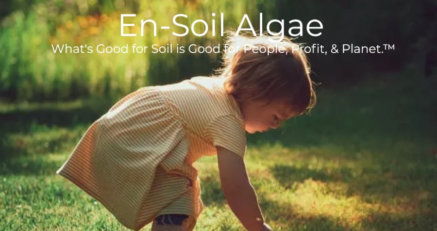 Screenshot-en-soil-algae