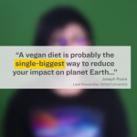 VIDEO: The Environmental Impact of Going Vegan