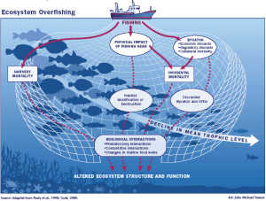ecosystem-overfishing