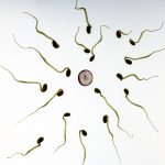 Plasticizers and Male Sperm Count Decline