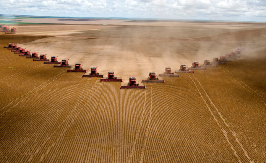 Agribusiness devastates our environment