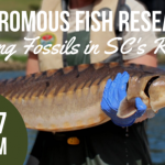 WEBINAR:SCDNR Diadromous Fish Research