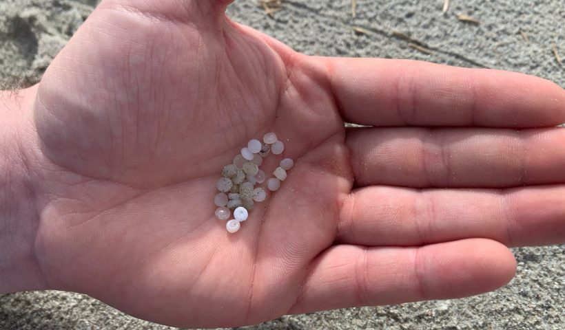 Charleston Waterkeeper says plastic ‘nurdles’ found on Folly Beach