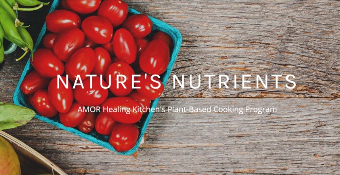 Amor-Healing-Kitchen-Natures Nutrients Cooking Program