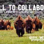 A CALL TO COLLABORATE