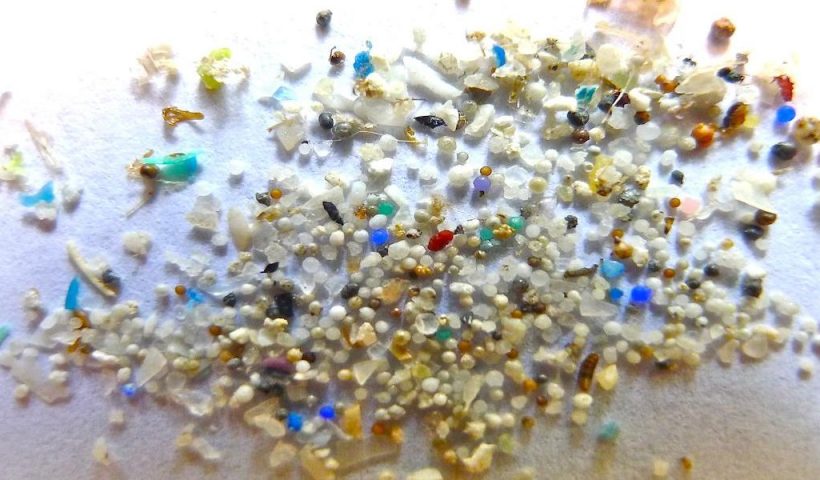 Eating Microplastics Could Cause Inflammatory Bowel Disease, Study Finds
