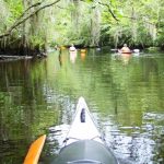 EVENTS: Canoe/Kayak with the Sierra Club!