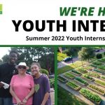APPLY NOW: Green Heart Project is Hiring Summer Interns!