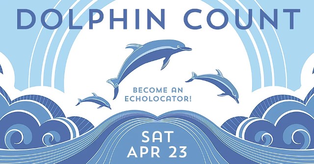 DolphinCount_2022