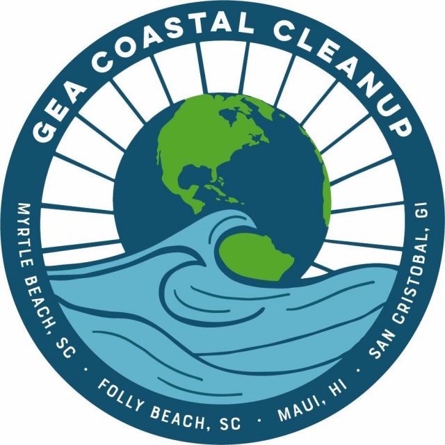 S.C. non-profit to lead beach clean-ups along four coastlines on World Ocean Day