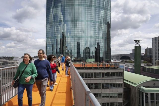 What the City of Rotterdam Can Teach Us About the Power of Green Roofs
