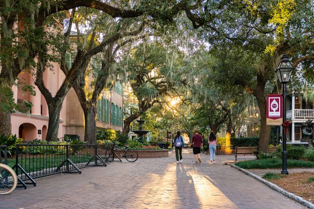 College of Charleston Recognized as a Tree Campus