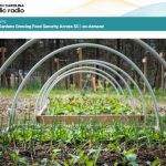 LISTEN: "Local Gardens Growing Food Security Across SC"