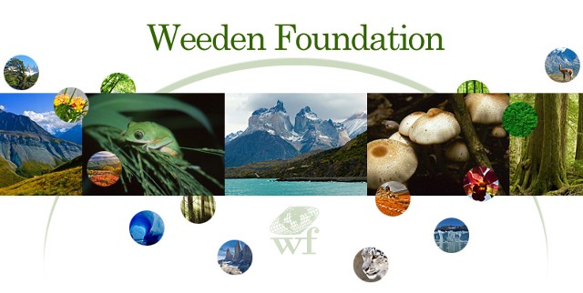 Screenshot Weeden Foundation