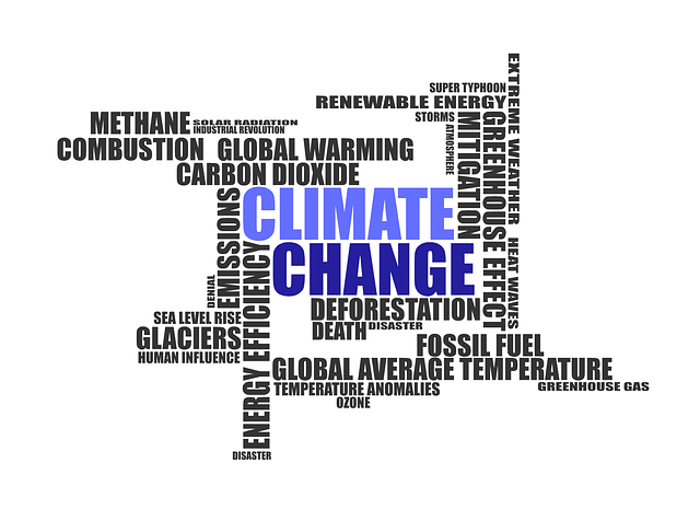 climate-change-issues