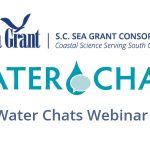 FREE WEBINAR SERIES: Water Chats