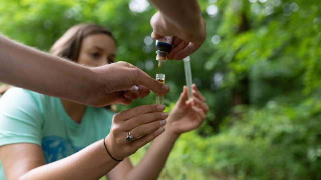 South Carolina Adopt-A-Stream Program celebrates five years of helping keep state’s waterways clean