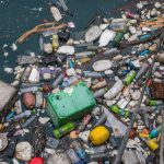 "Human Pathogens Are Hitching a Ride on Floating Plastic"