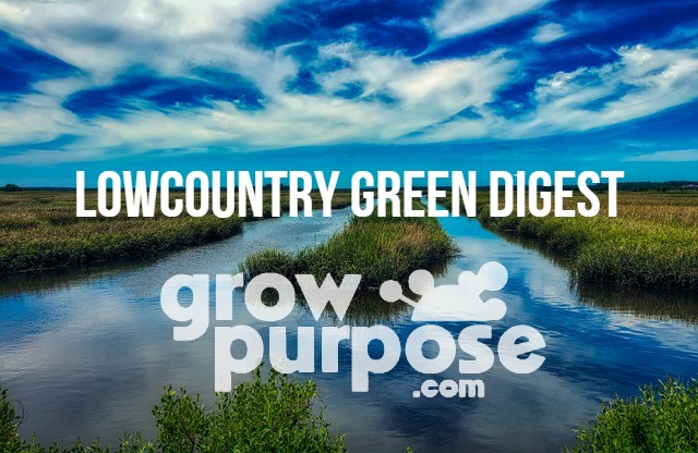 Lowcountry-Green-Digest-1