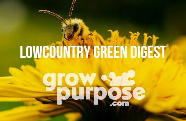 LOWCOUNTRY-GREEN-DIGEST-1-20-23