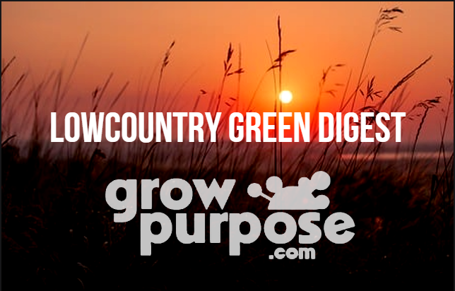 Lowcountry-Green-Digest-2-17