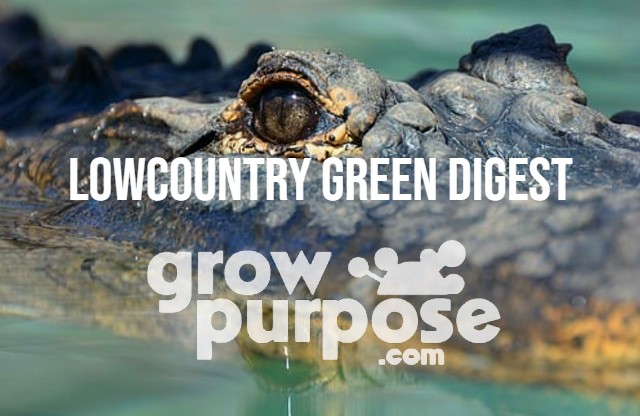 Lowcountry-Green-Digest-3-10