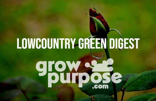 LOWCOUNTRY-GREEN-DIGEST-4-7-23