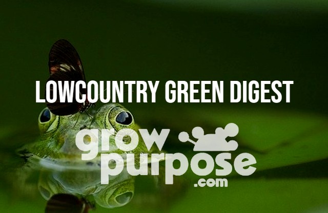 LOWCOUNTRY-GREEN-DIGEST-1-12-24