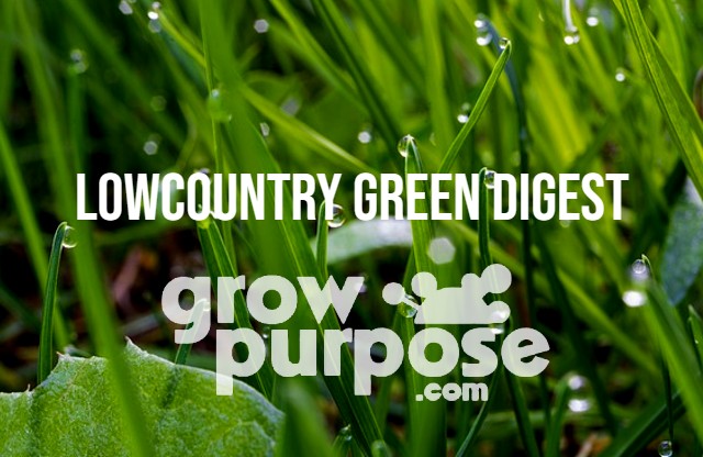 LOWCOUNTRY-GREEN-DIGEST-4-29-24