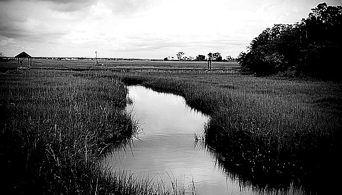 img src: pixabay.com